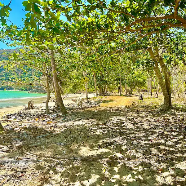 Golden Sands