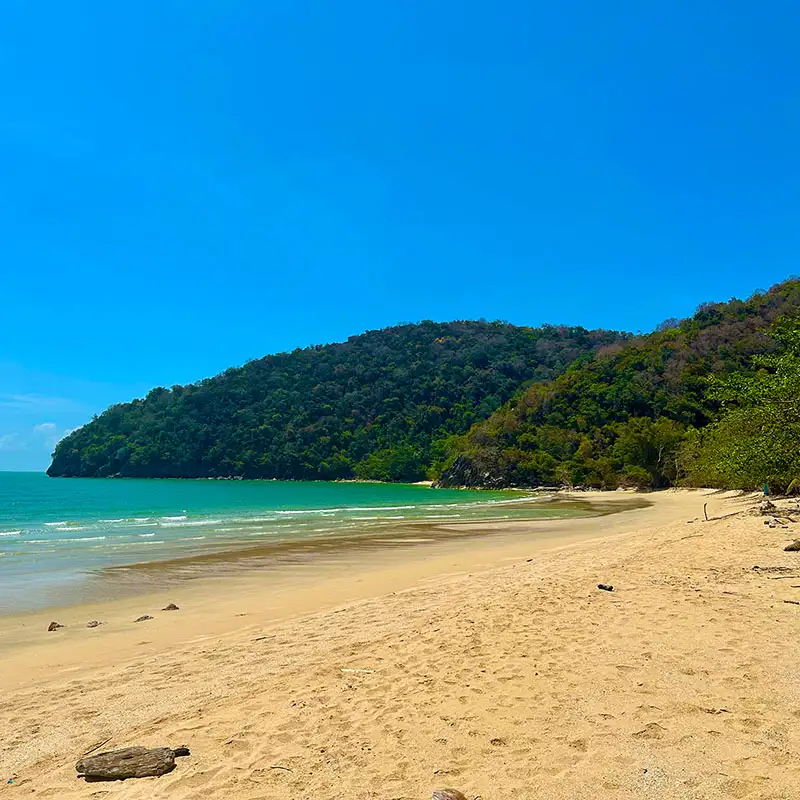 Crystal Waters