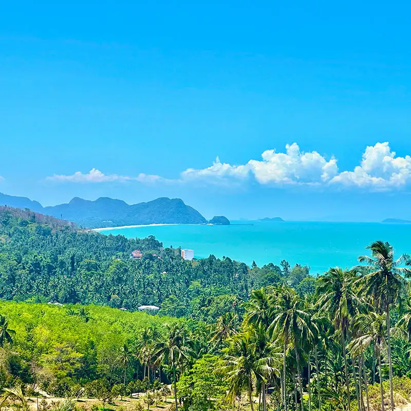 Paradise Coast