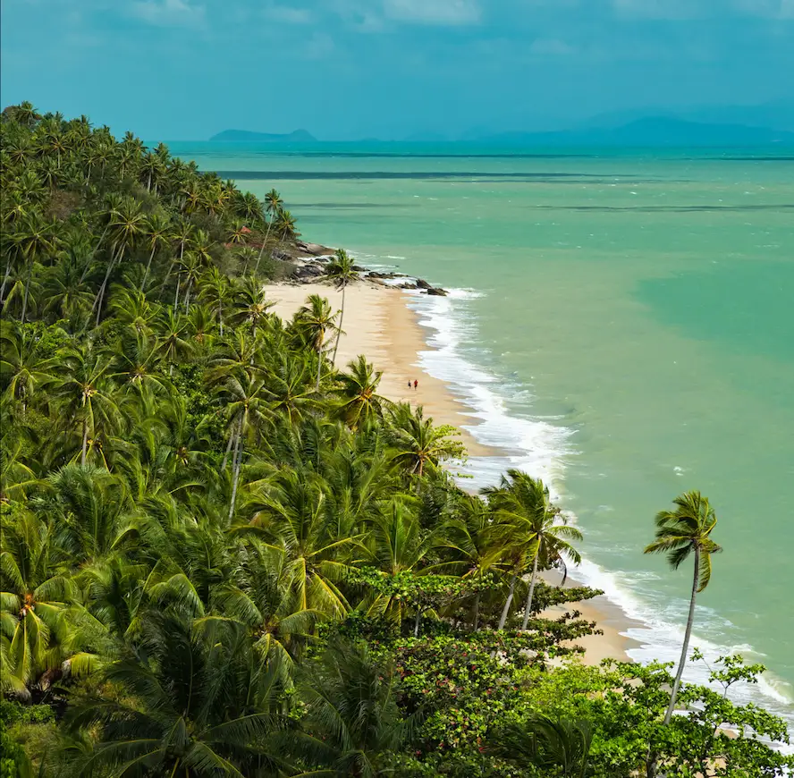 Beach