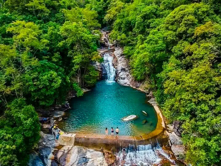 Jungle